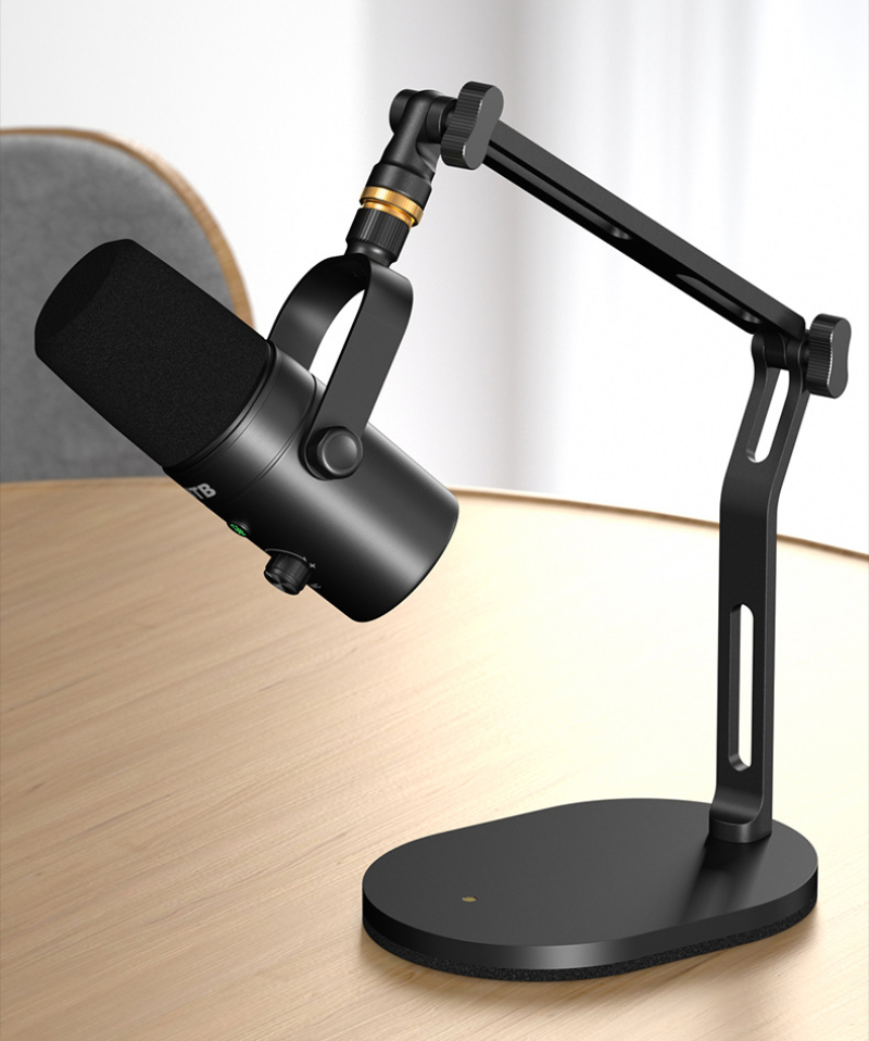 Foldable Desktop Microphone St - đánh giá và giá Microphone Arm Boom